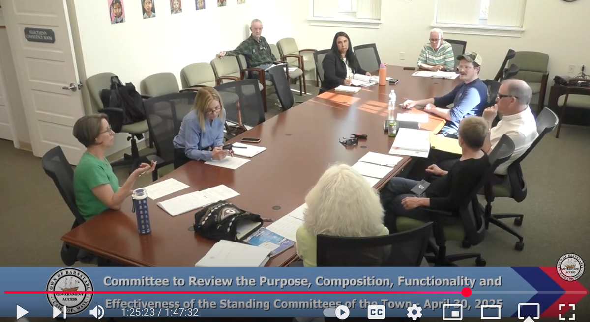 Ad Hoc Sub-Committee on Committees | April 30, 2025
